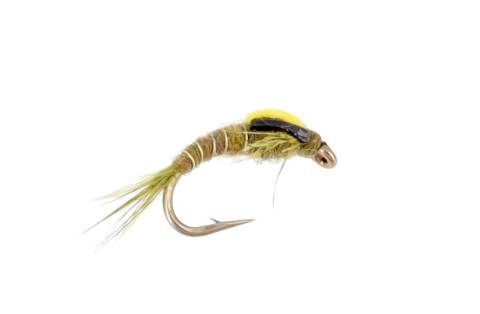 Split Back BWO Heavy